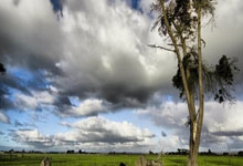 澳大利亚对阵约旦的比分最终是多少？