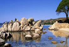 90分和即时比分滚球二合一工具该怎么选？两者有啥区别和优势？